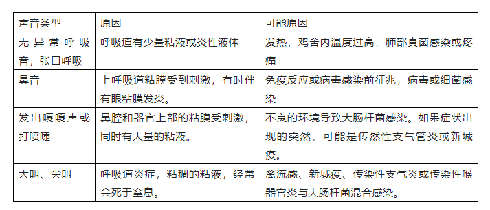 蛋雞呼吸道疾病特有的信號(hào)