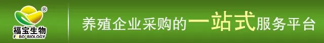 三大因素導致蛋雞呼吸道疾病頻發(fā)，如何有效預防？