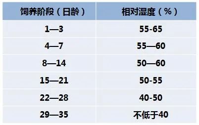 春季育雛，如何更好地做好濕度管理？